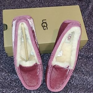 UGG slipper
